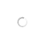 GORDOLOBO - 